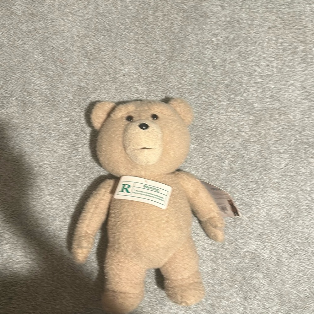 Talking teddy bear